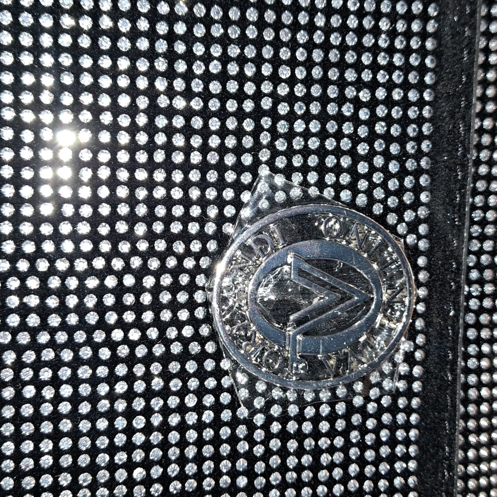 Valentino Orlandi Black and Silver Women's Bag - Picture 2 of 5